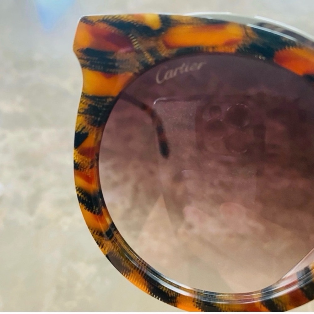 Cartier Tortoise Shell Sunglasses - image 11